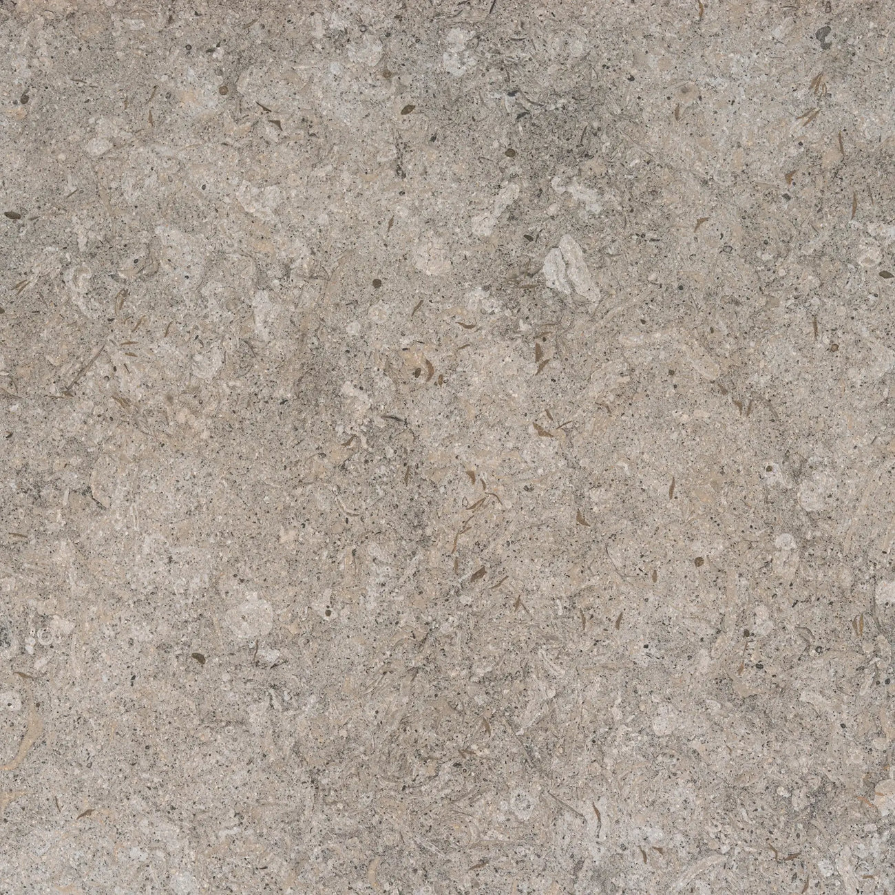 Close-up of Dekton Grigio stone featuring a soft grey base with warm beige undertones and subtle fossil-like textures, ideal for modern Scandinavian tables and surfaces.