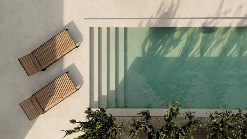 Top-down view of a pool with lounge chairs and plants